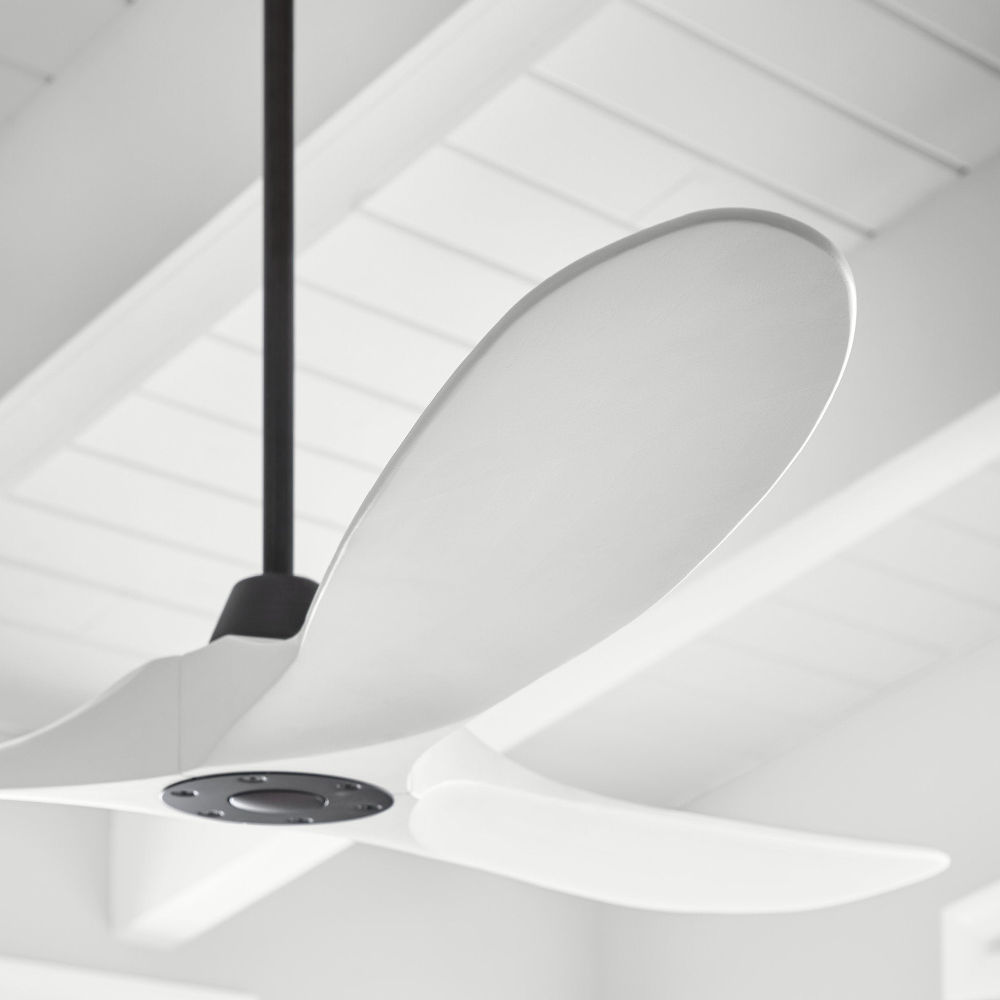 Maverick 60" LED Ceiling Fan  in Matte White  w/ Matte White Blade D:60'' H:13 13/16''