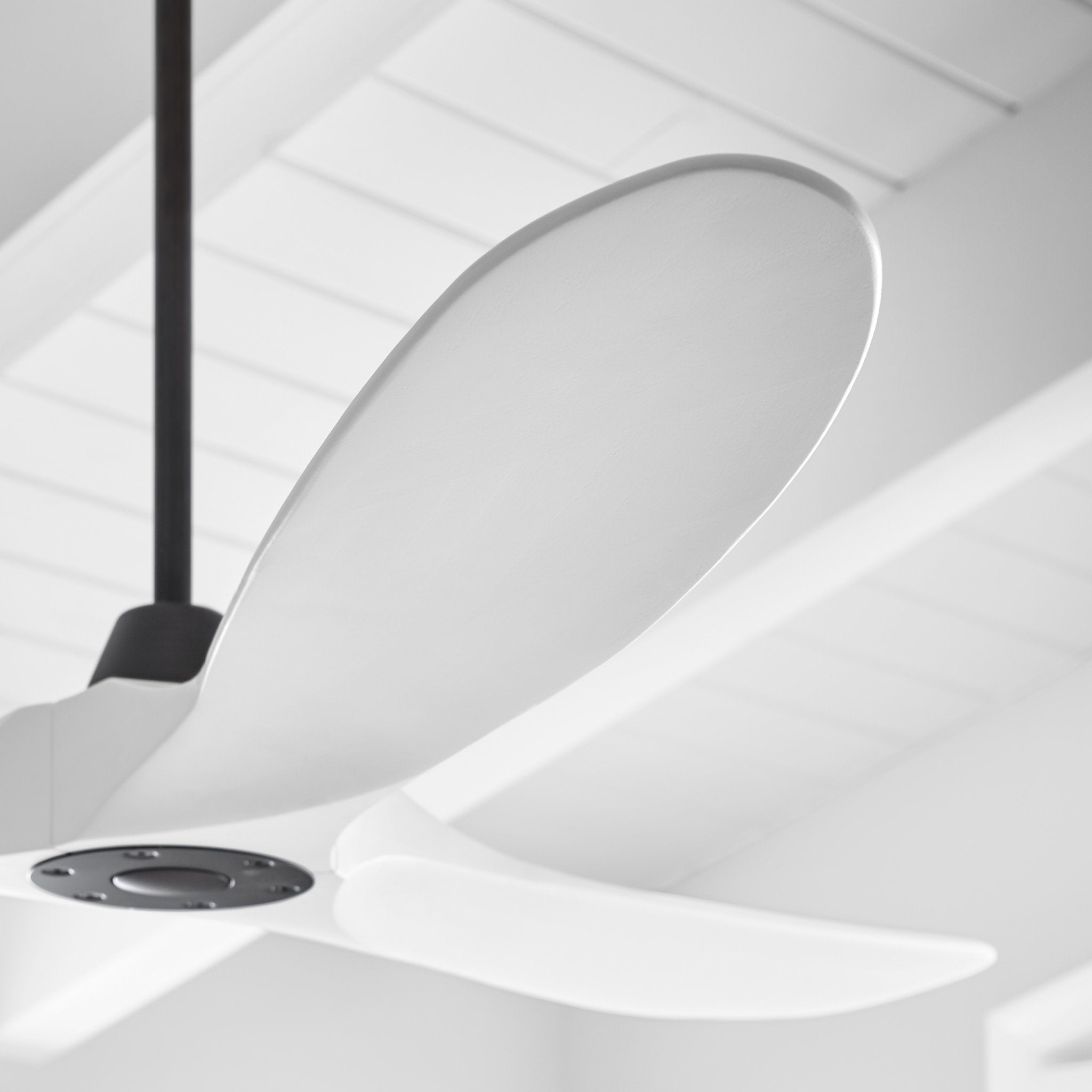 Maverick 60" LED Ceiling Fan  in Matte White  w/ Matte White Blade D:60'' H:13 13/16''