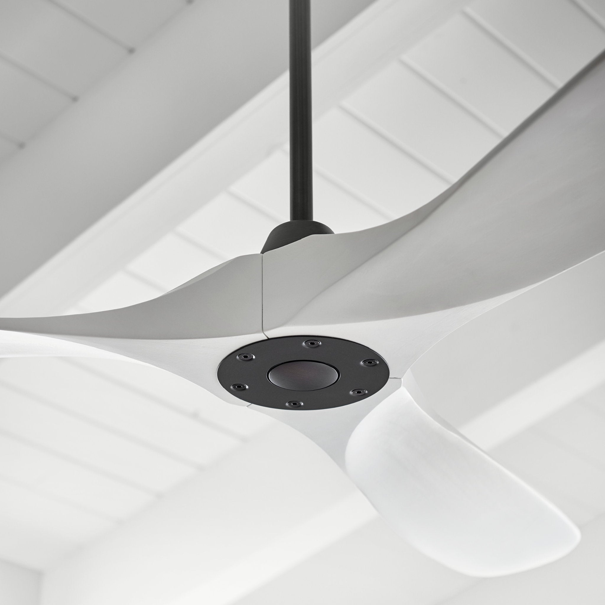 Maverick 60" LED Ceiling Fan  in Matte White  w/ Matte White Blade D:60'' H:13 13/16''