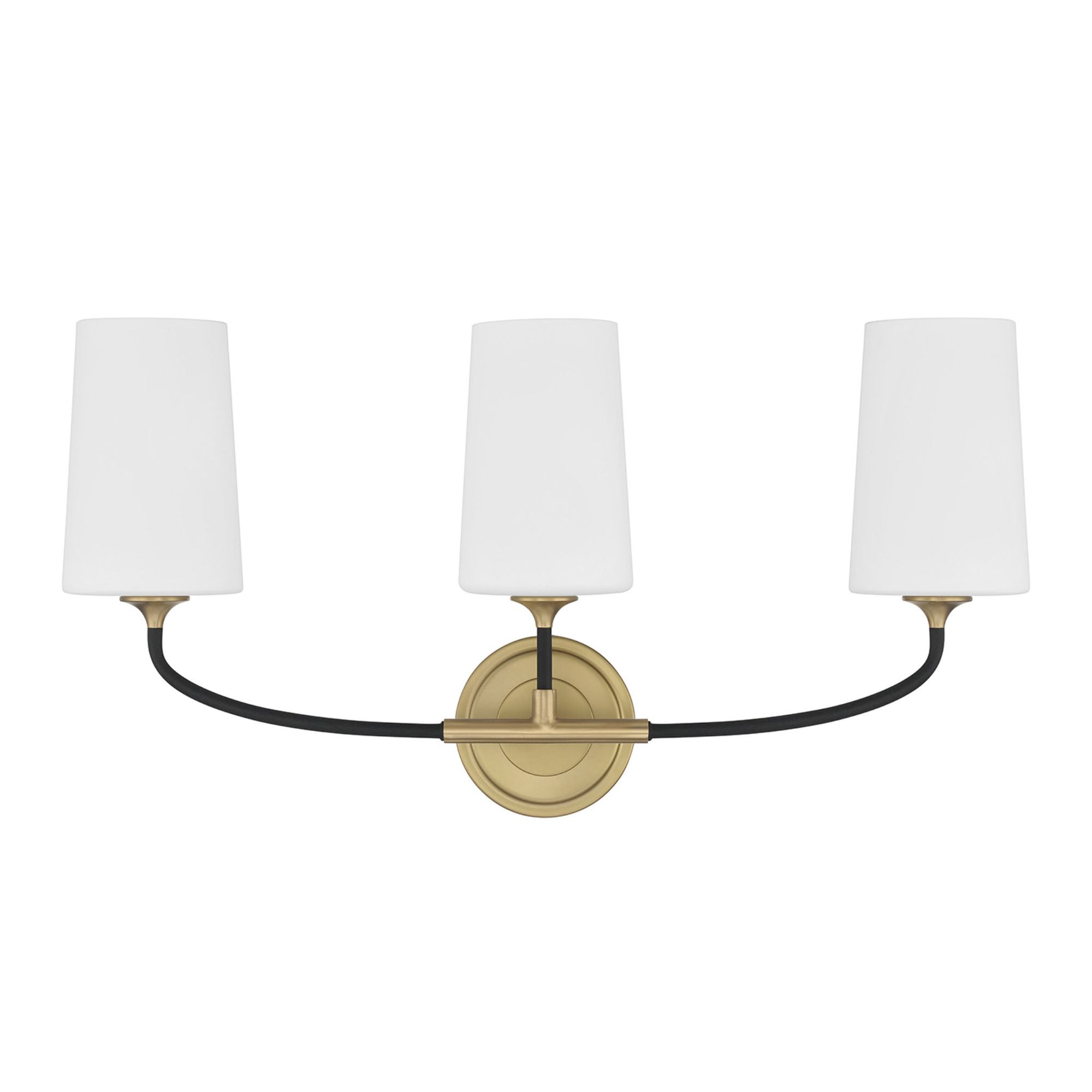 Niles 23.5'' Black Forged + Modern Gold Bathroom Vanity Black 23.5"W x 12.25"H x 5.75"D