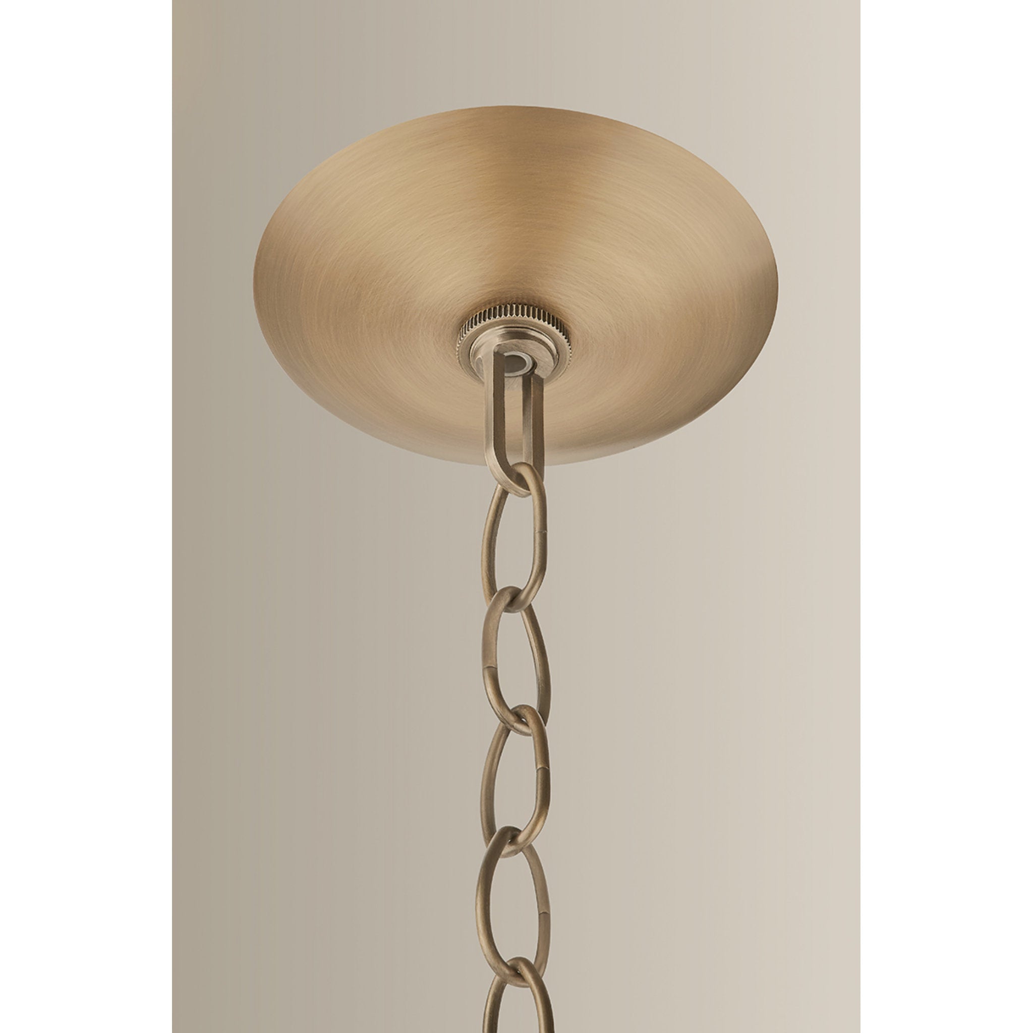 Petal 1-Light Pendant in Patina Brass by Lauren Liess 24W x 12.5H