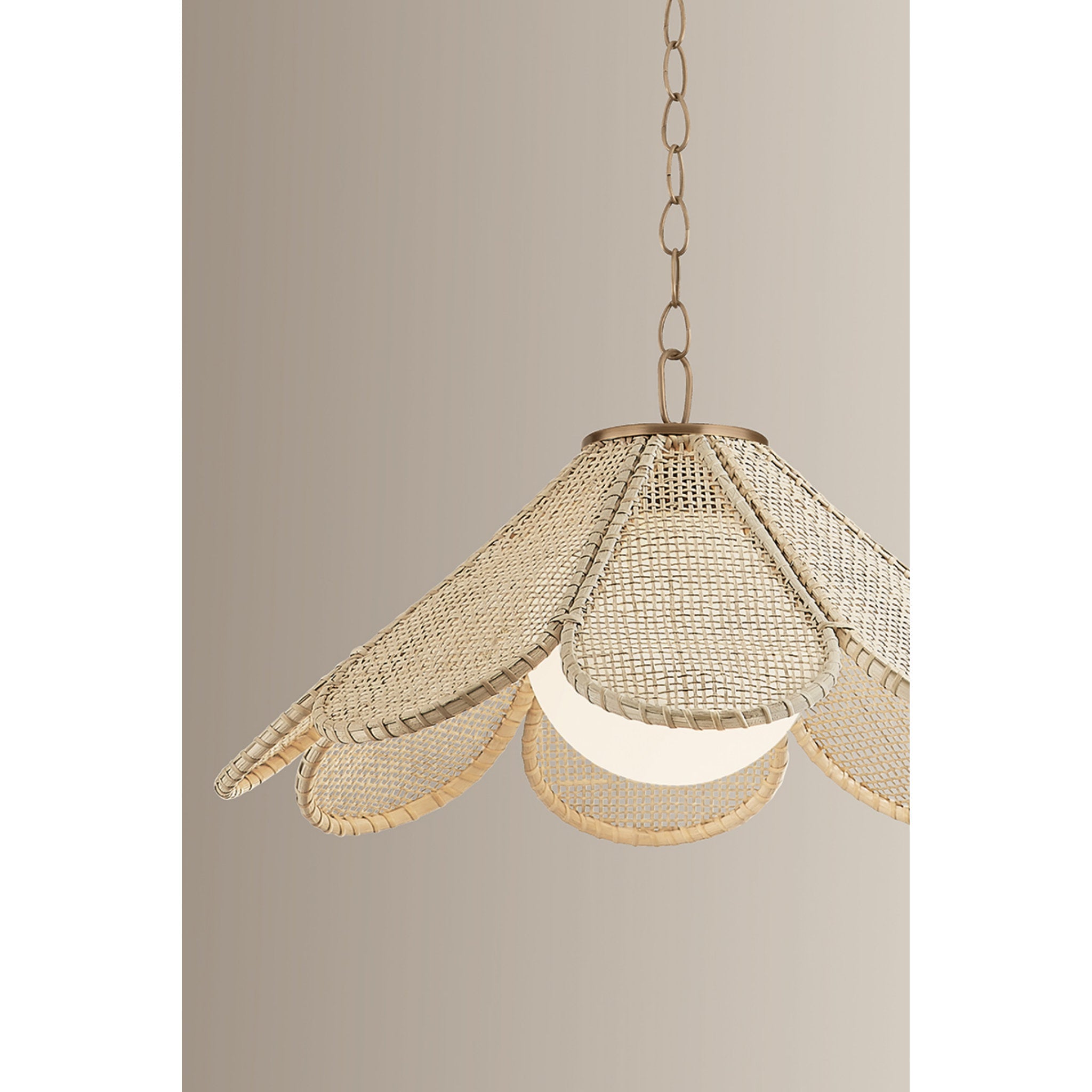 Petal 1-Light Pendant in Patina Brass by Lauren Liess 24W x 12.5H