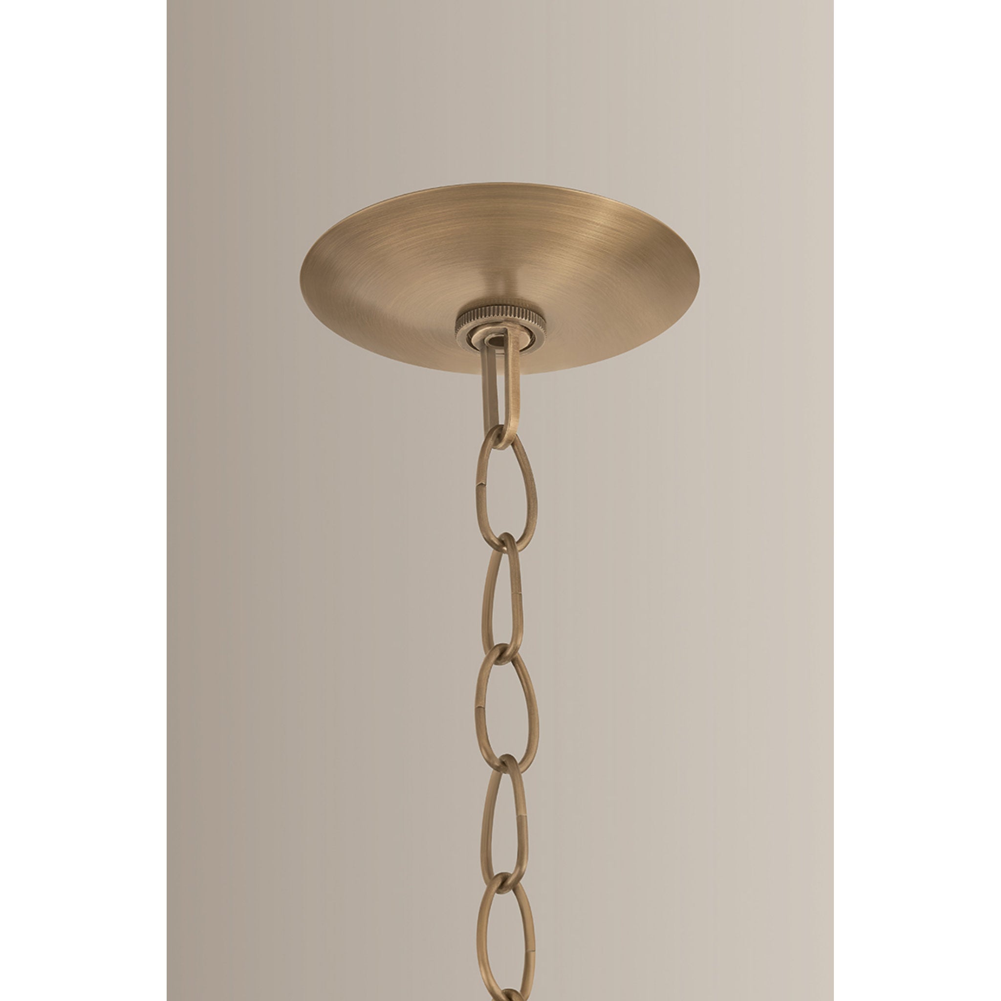 Petal 1-Light Pendant in Patina Brass by Lauren Liess 36.25W x 15.25H