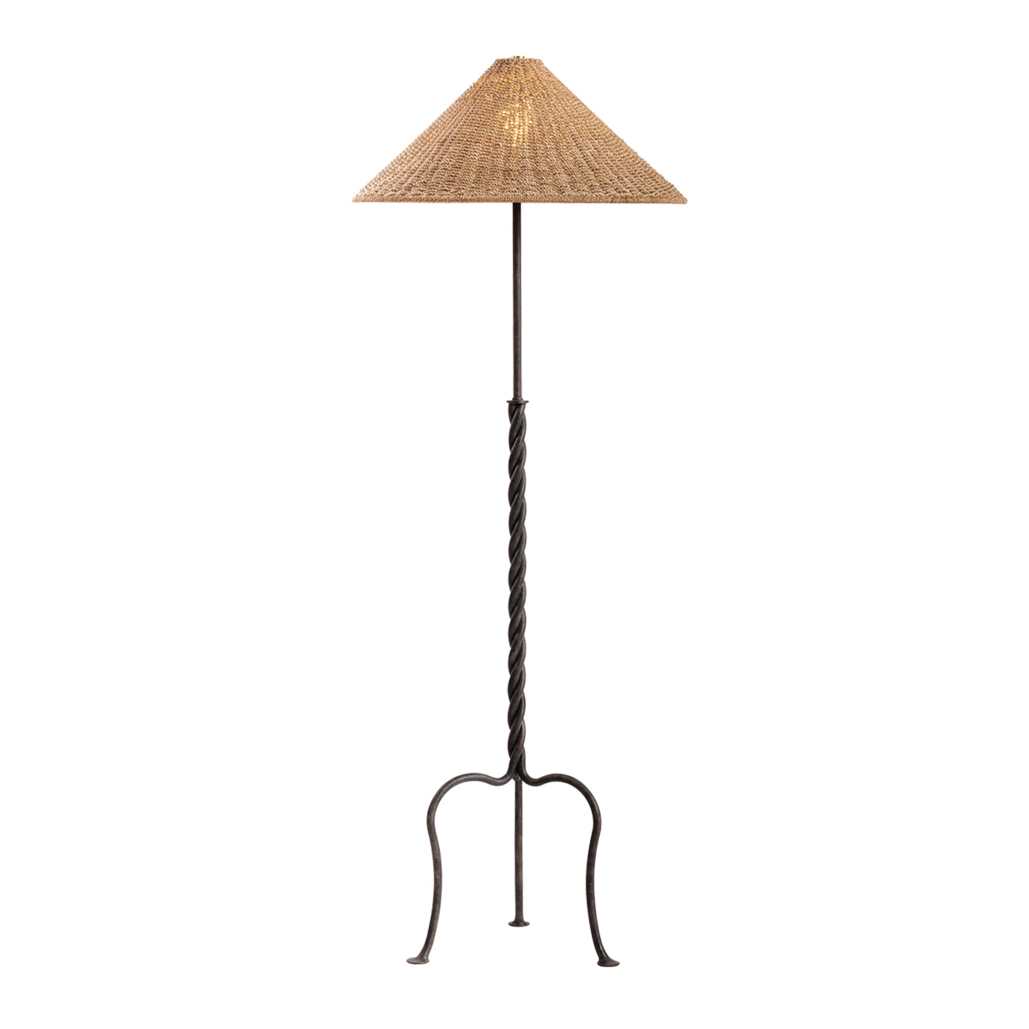 Francisco 1-Light Floor Lamp in French Iron 23.5W x 64H