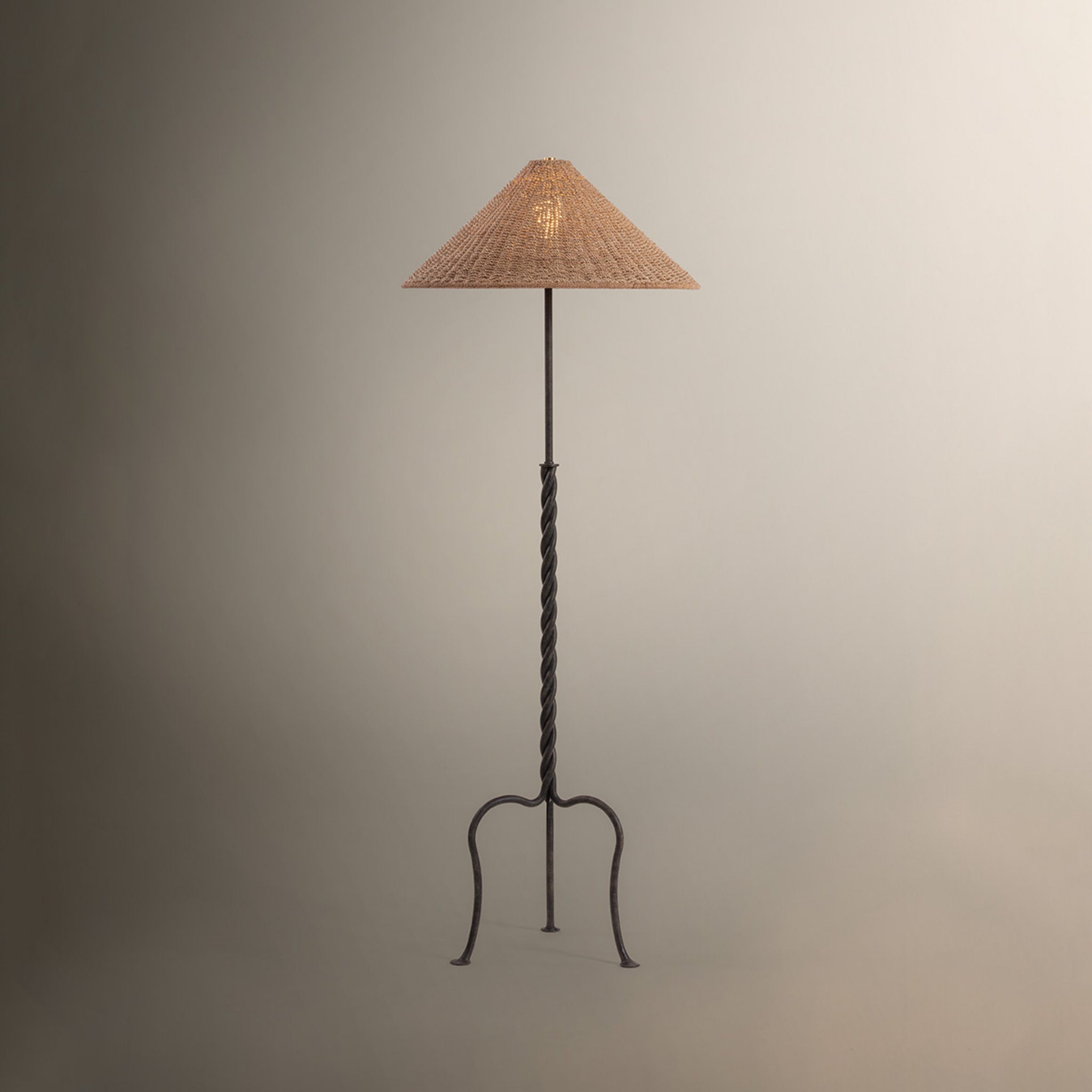 Francisco 1-Light Floor Lamp in French Iron 23.5W x 64H