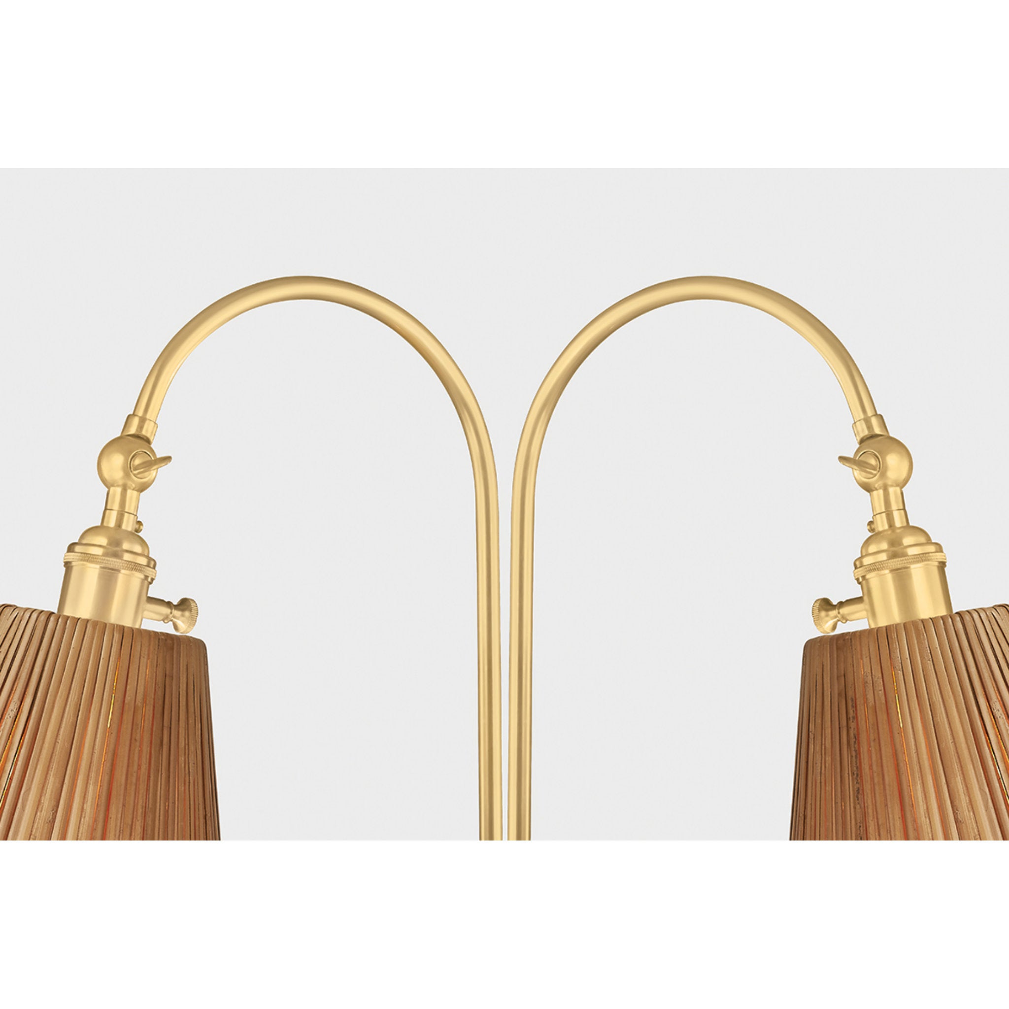 Ruthin 2-Light Floor Lamp in Aged Brass 11.75L x 30.75W x 60H