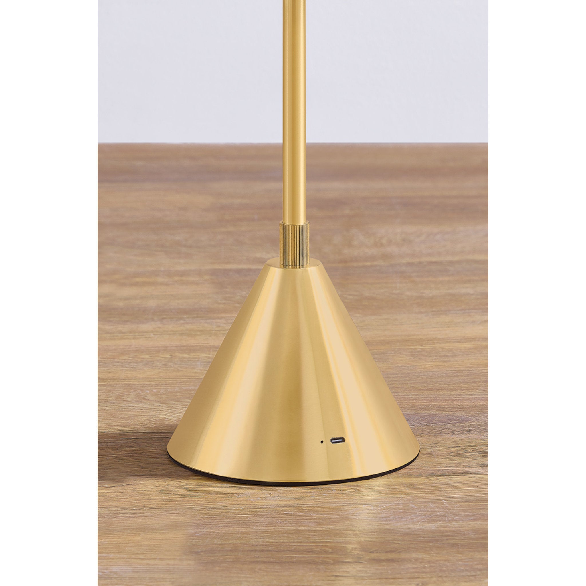 Salma 1-Light Rechargeable Floor Lamp in Aged Brass 7.75W x 49H