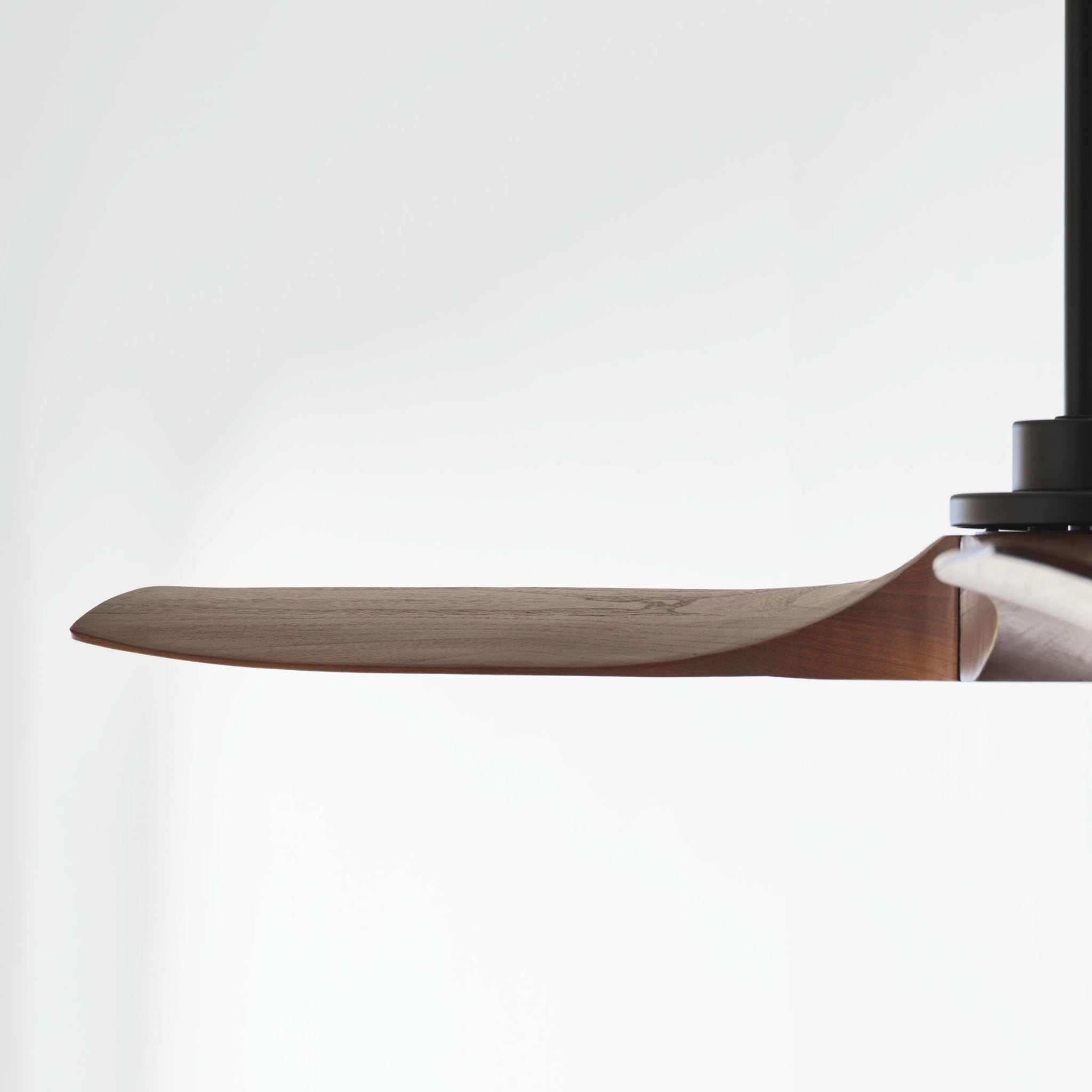 Sean Lavin Collins 60" Ceiling Fan  in Midnight Black  w/ Dark Walnut Blade D:60'' H:12 1/2''