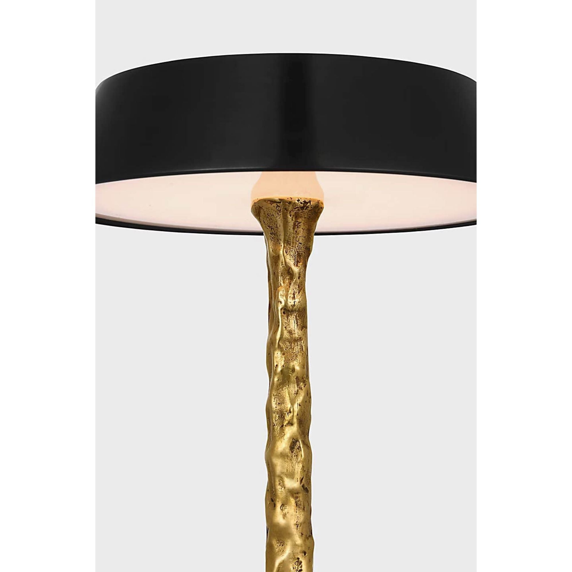 Ian K. Fowler Ilosi 12" Sculpted Rechargeable Table Lamp in Hand-Rubbed Antique Brass with Bronze Shade W7" x H12"