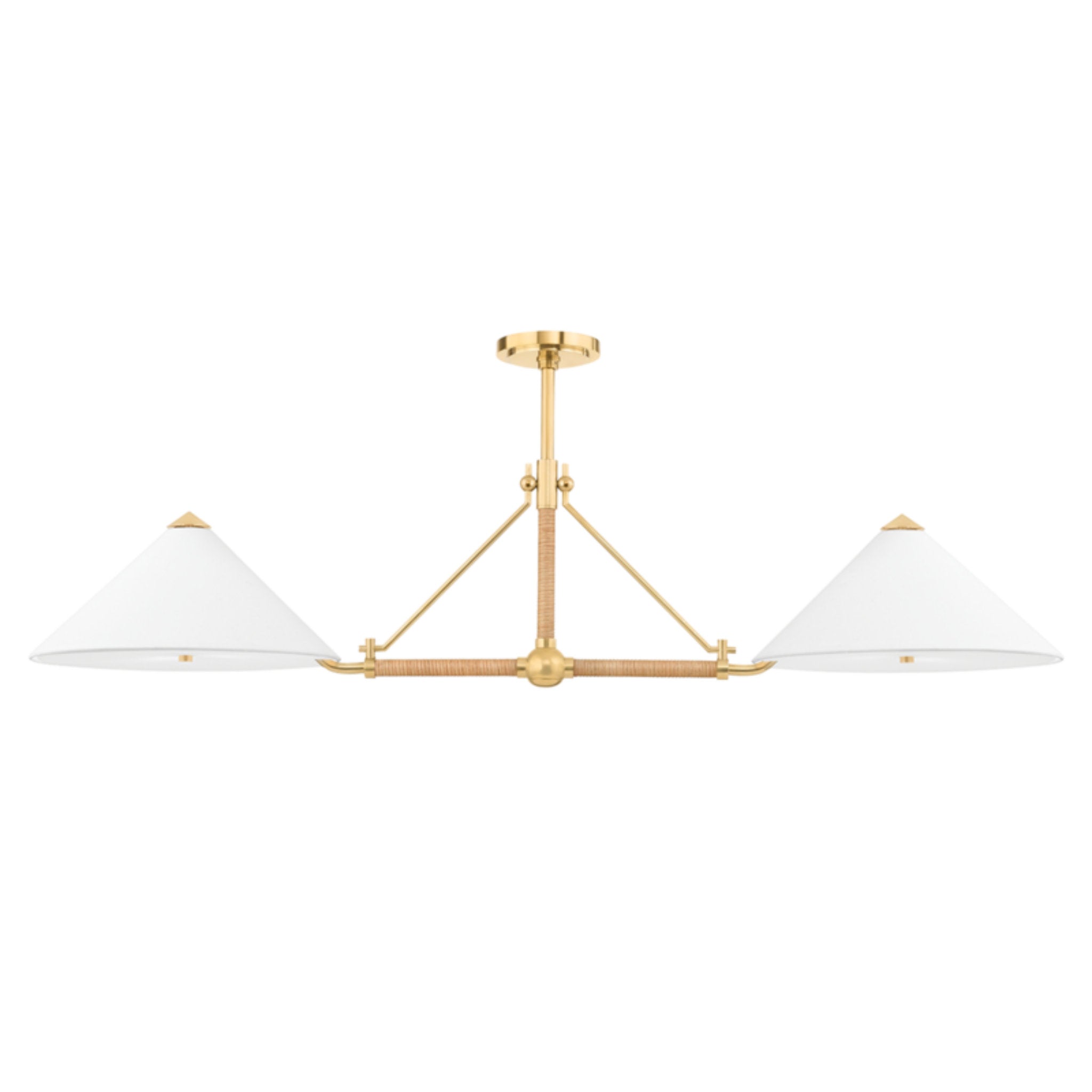 Williamsburg 4-Light Linear in  Aged Brass 57L x 17W x 13H