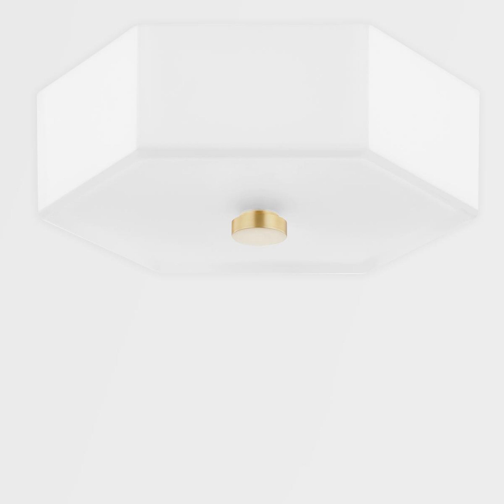 Lizzie 2-Light Flush Mount in Aged Brass/Polished Nickel Combo