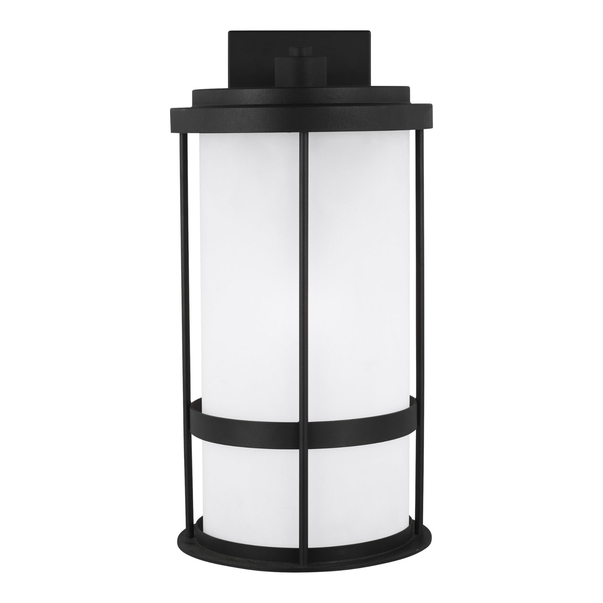 Wilburn Large One Light Outdoor Wall Lantern LED Transitional Fixture Dark Sky 10" Width 20" Height Aluminum Round Satin Etched Shade in Black