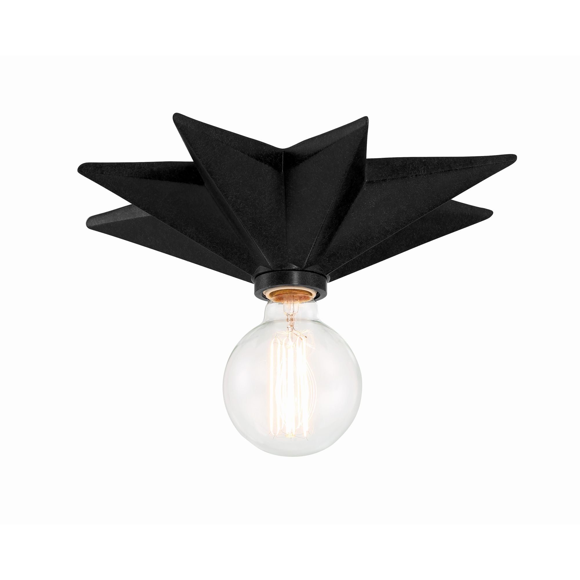 Astro 1 Light Black Ceiling Mount Foundry Lighting
