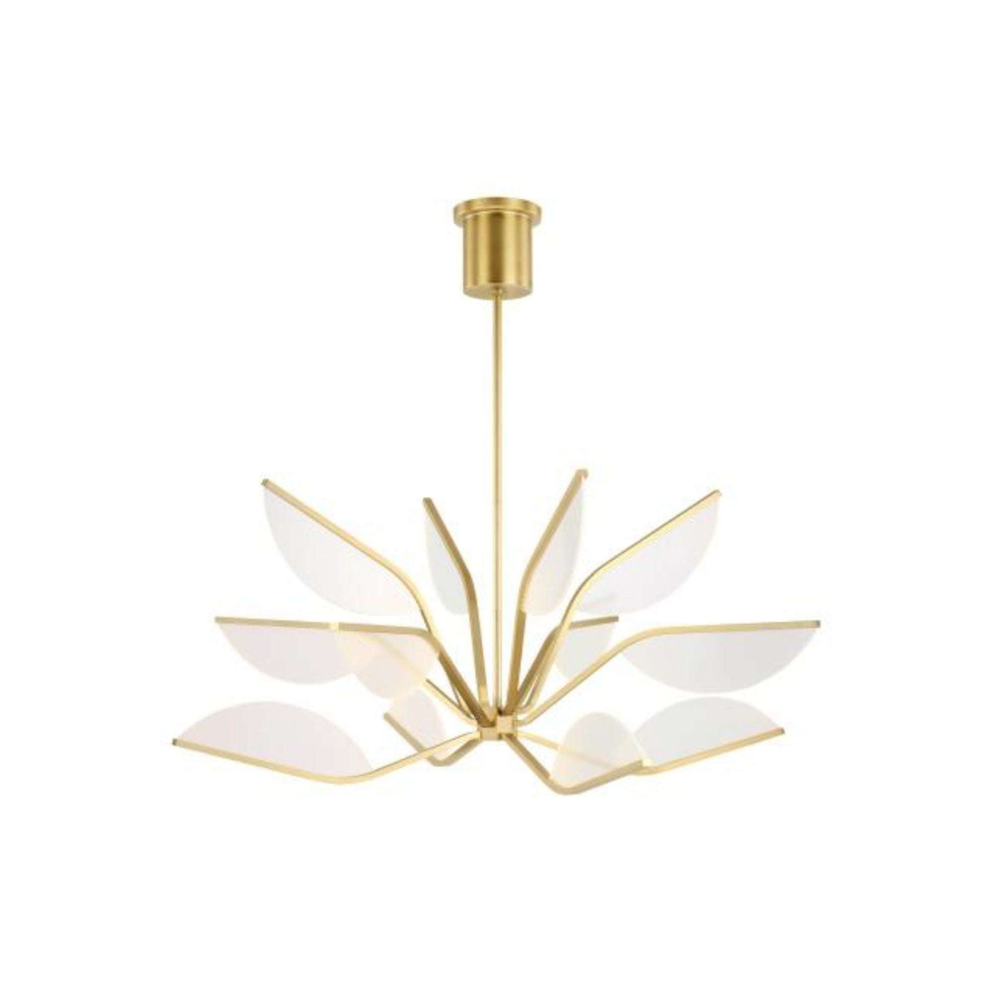 Belterra 38 Chandelier Chandeliers 1-Light LED 3000K Natural Brass by Sean Lavin