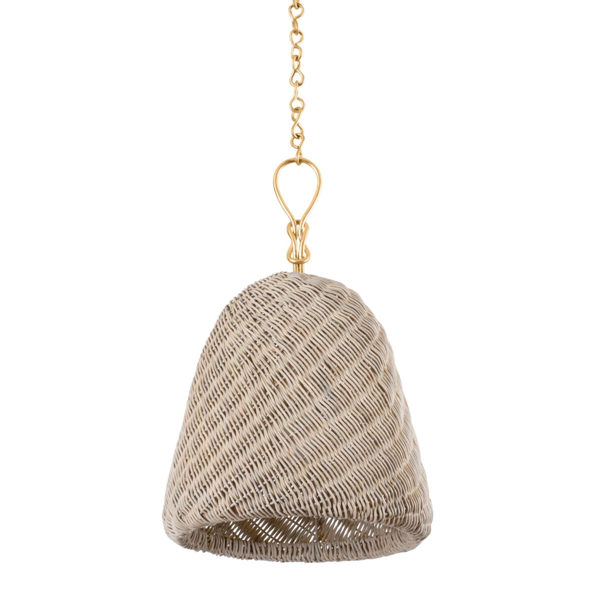 Reina 1-Light Pendant in  Gold Leaf by  Becki Owens 14L x 14W x 21.75H
