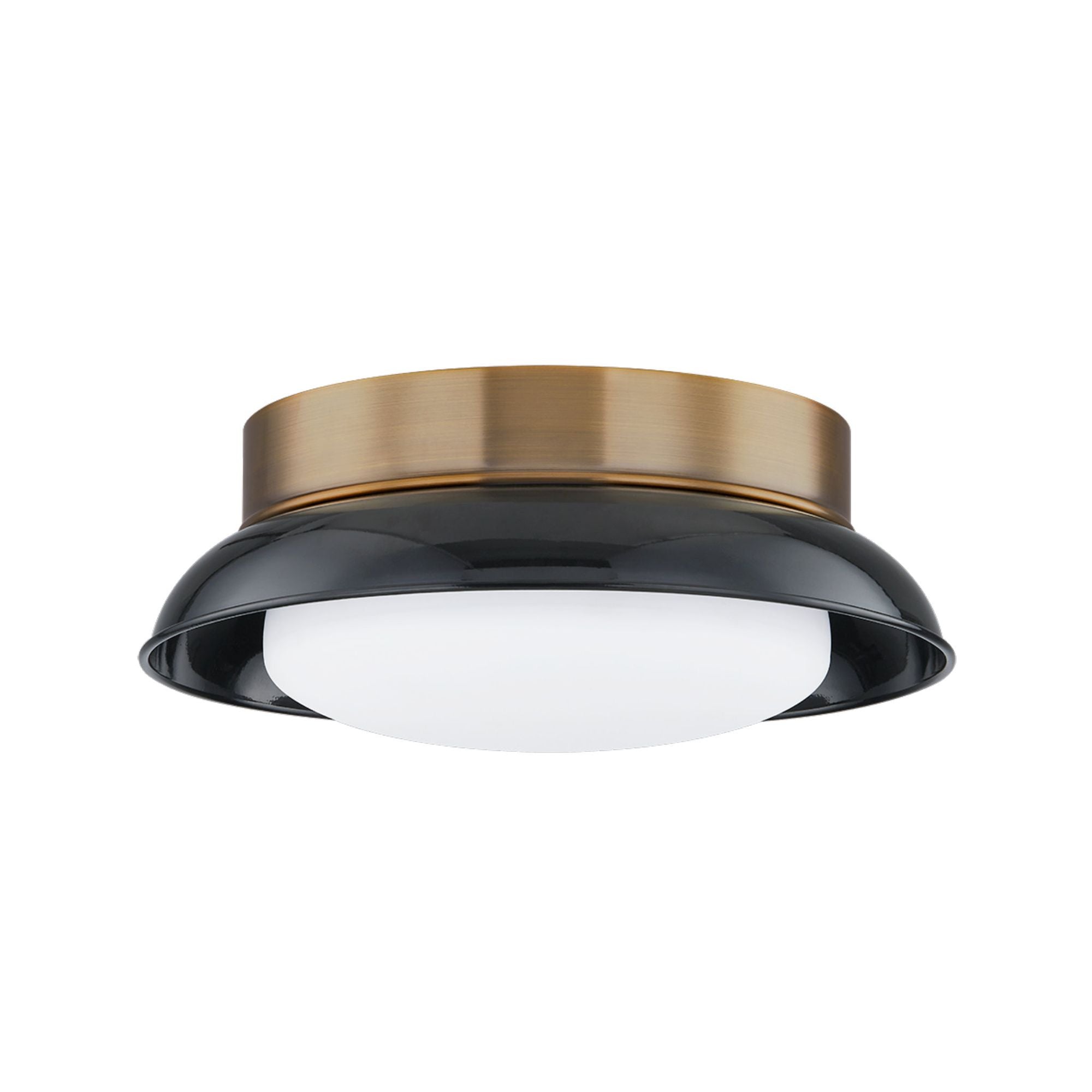 Arnie 2-Light LED Flush Mount
