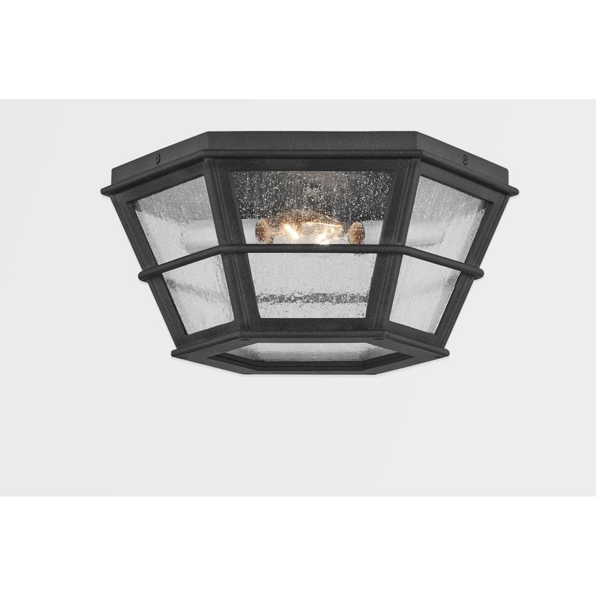Lake County Flush Mount 2-Light Outdoor LED in  French Iron 13.75L x 13.75W x 6.25H