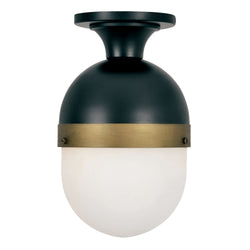 Brian Patrick Flynn for Crystorama Capsule 1 Light Matte Black + Textured Gold Outdoor Ceiling Mount