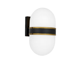 Brian Patrick Flynn for Crystorama Capsule 1 Light Matte Black + Textured Gold Outdoor Wall Mount