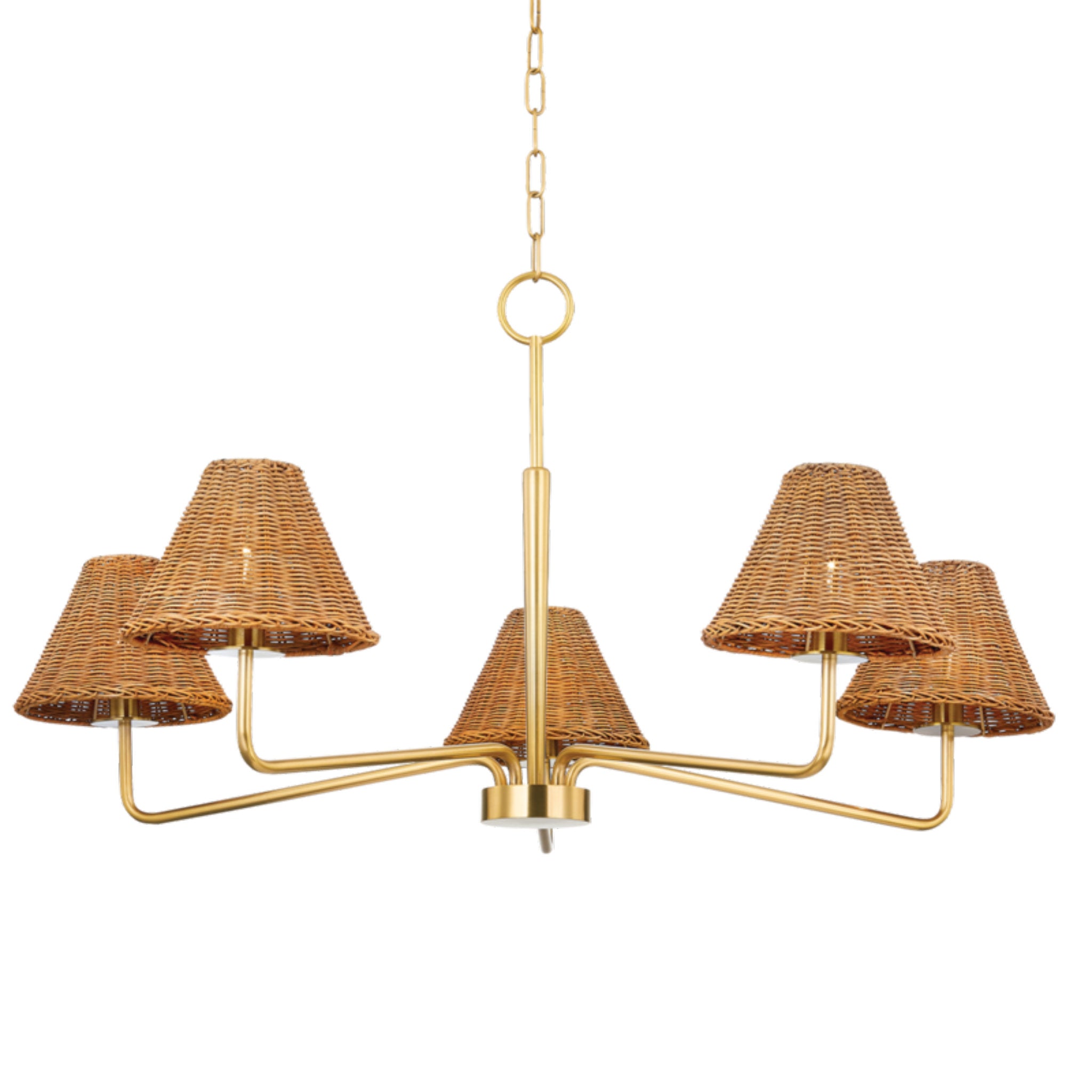 Issa 5-Light Chandelier in  Aged Brass by  TALI ROTH 65.75L x 40W x 20.5H