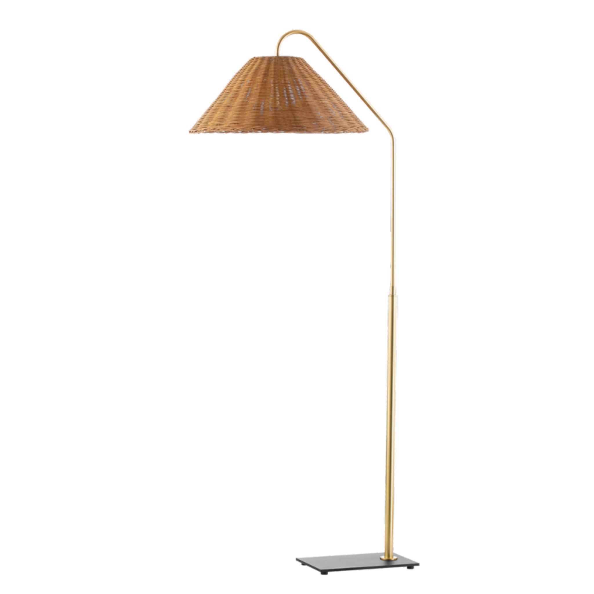 Lauren 1-Light Floor Lamp in  Aged Brass/Textured Black Combo 25.5L x 19.5W x 60H