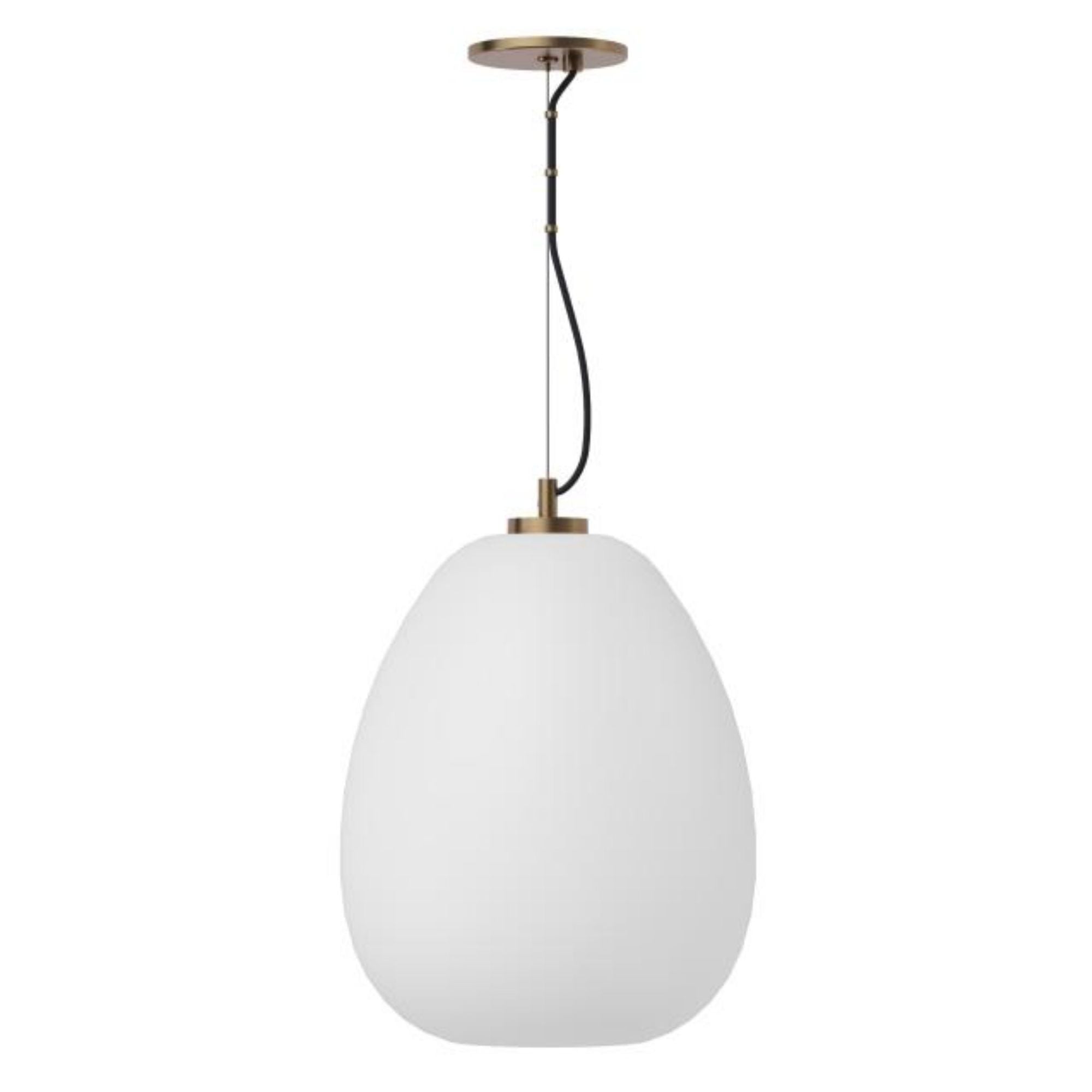 Kapoor Medium Pendant Line-Voltage Pendants/Suspension 1-Light LED 2700K Clear/Natural Brass by Sean Lavin