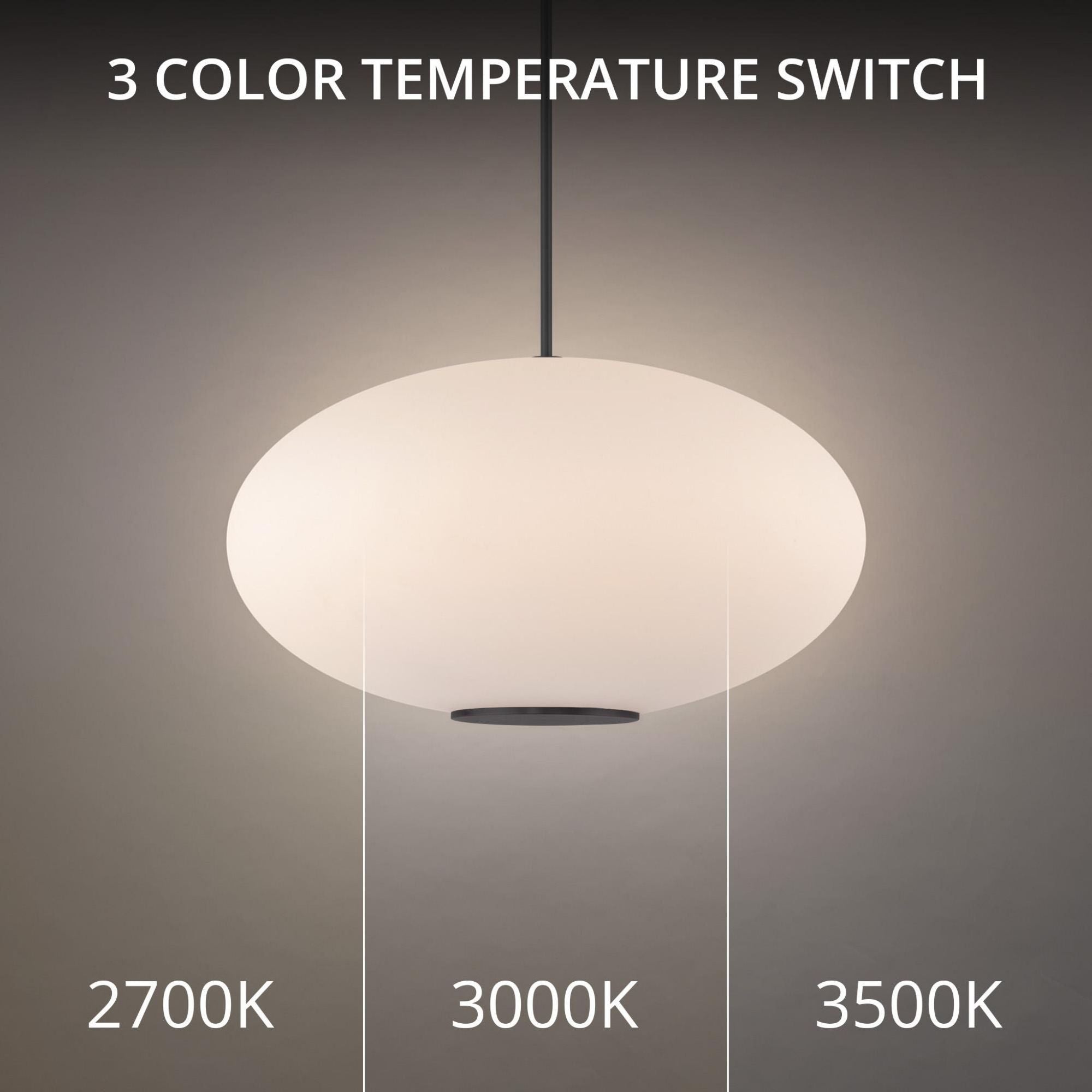 Illusion 22in LED Pendant 3500K in Black