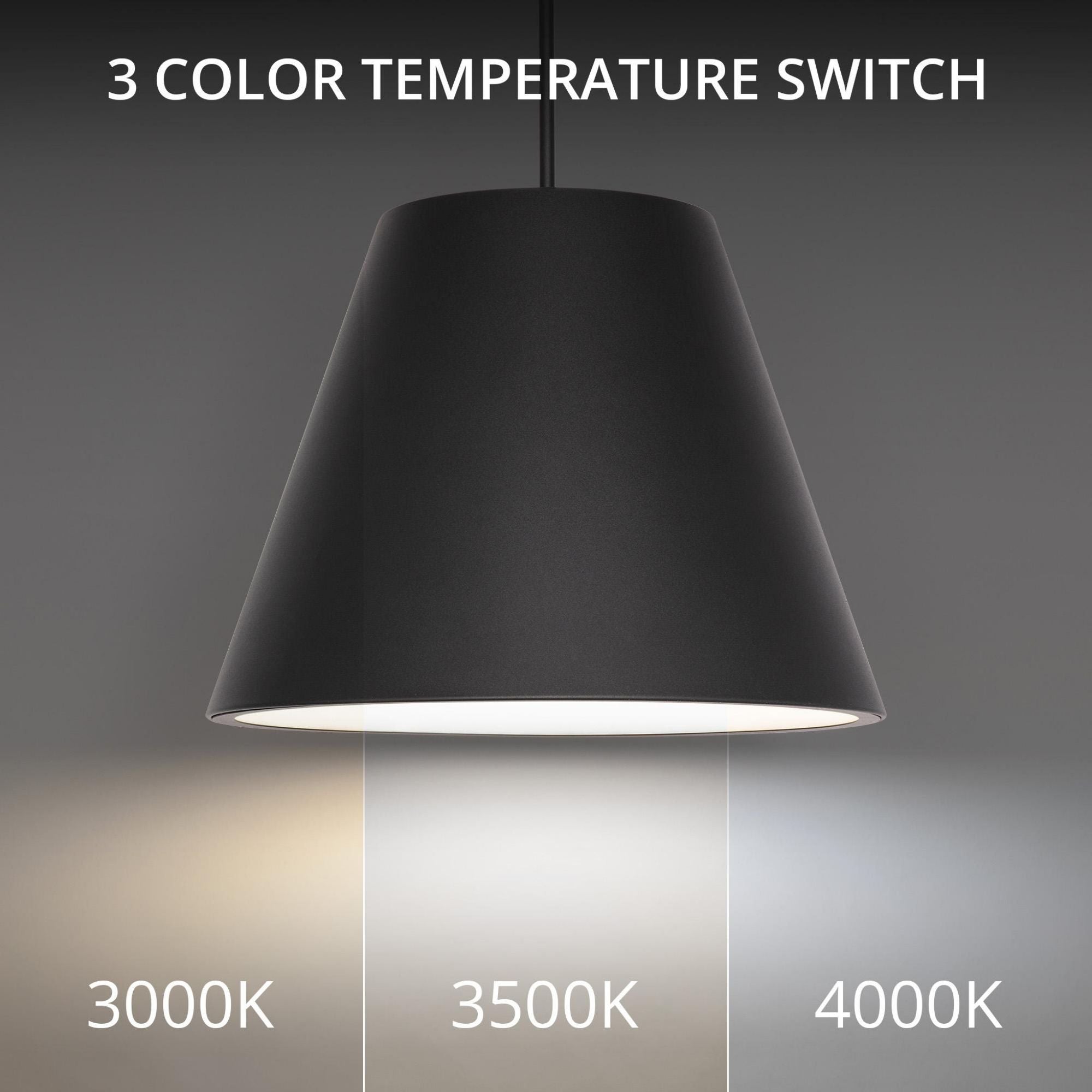 Myla 20in LED Outdoor Pendant 3500K in Black