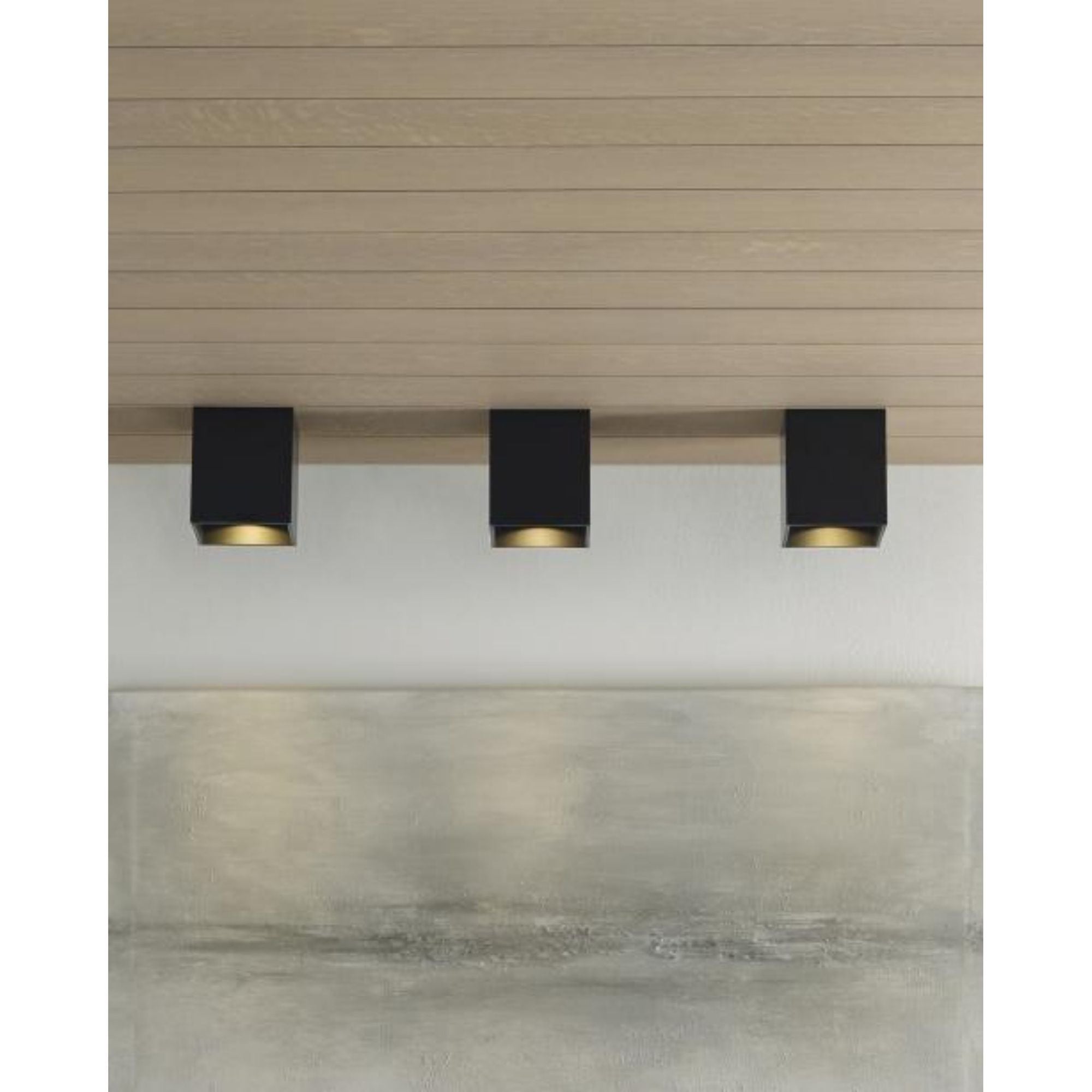 Exo 6 Flush Mount Flush & Semi-Flush Mount 1-Light LED 2700K Black by Sean Lavin