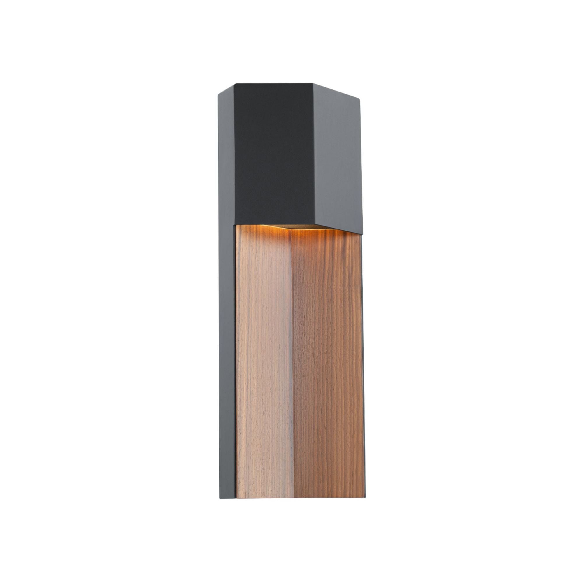Dusk 20in LED Indoor or Outdoor Wall Light 3000K in Black-Dark Walnut